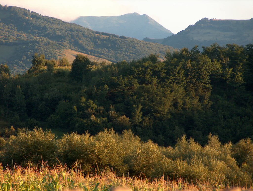 Valea Izei